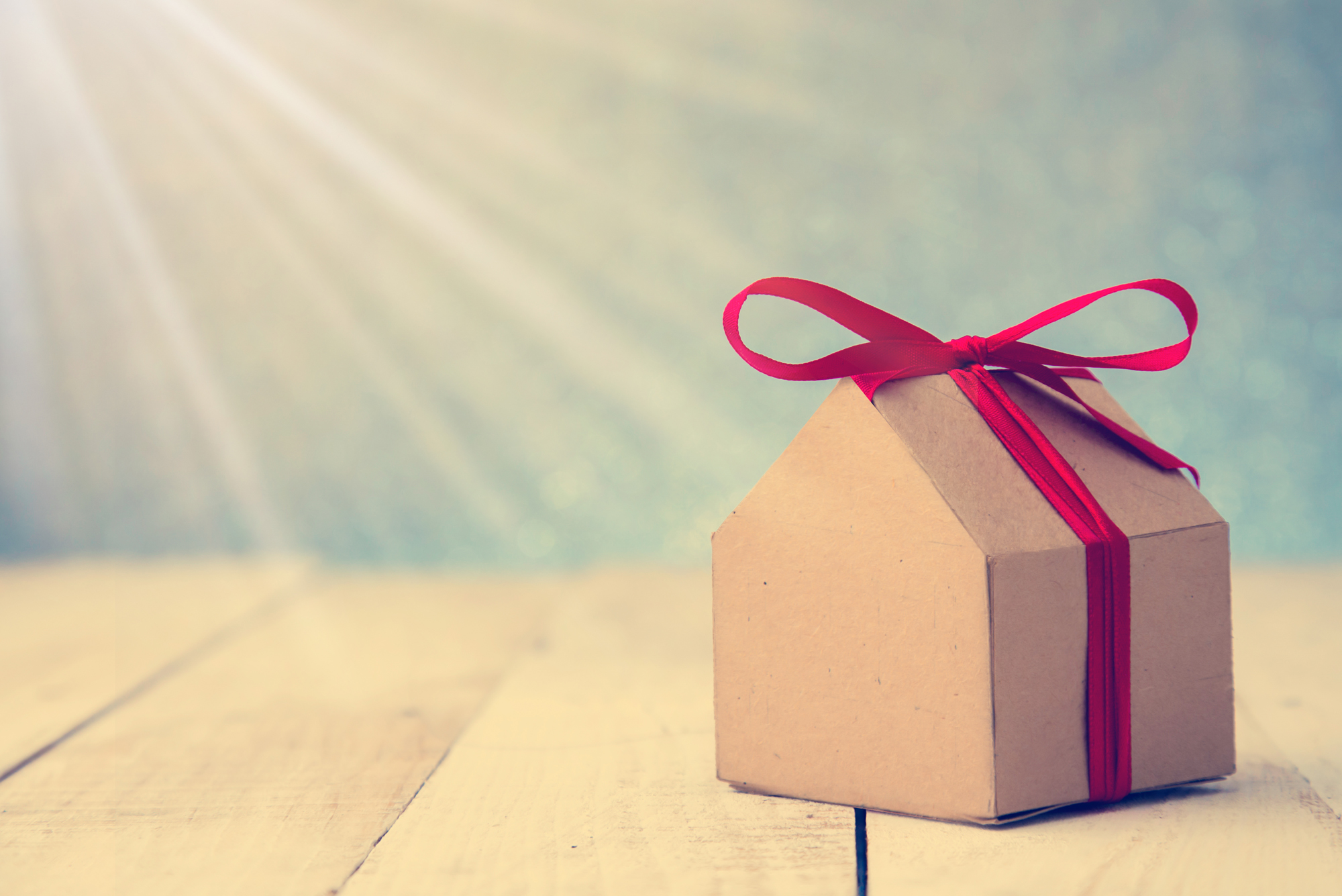 House gift concept