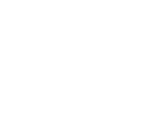 EvaBot Logo